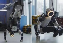 Robot hình người Hyundai ‘trồng cây chuối’