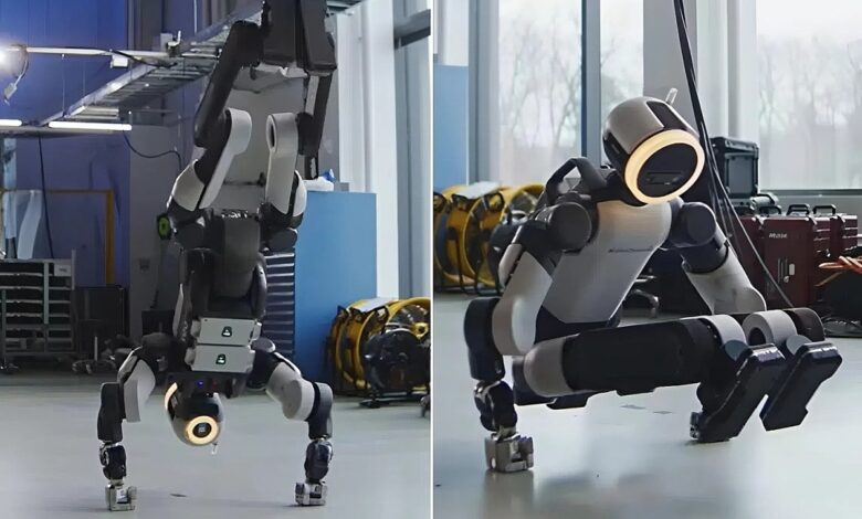 Robot hình người Hyundai ‘trồng cây chuối’
