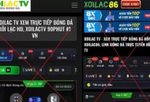 Thủ tướng yêu cầu triệt phá website phim, nhạc, game lậu