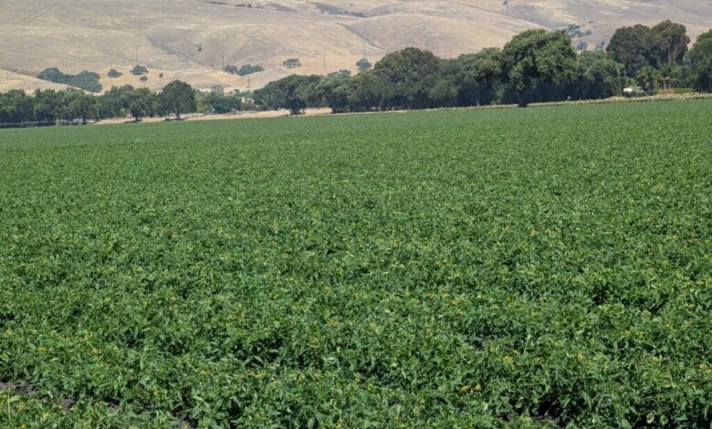 Parcel tax helps preserve Santa Clara County open space Parcel tax helps preserve Santa Clara County open space