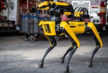 Những robot động vật giải quyết thách thức kỹ thuật