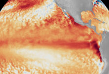 El Nino xuất hiện và đang mạnh lên