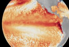Biến đổi khí hậu có khuếch đại El Nino?