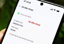 Làm sao xác nhận SIM chính chủ khi không thấy số trên VNeID?