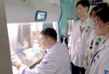 Phát hiện bất ngờ giúp nhà khoa học tạo vật liệu nano trị ung thư