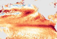 Kỹ thuật làm sáng mây có thể khiến El Nino suy yếu