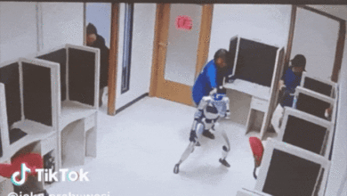 Thực hư vụ robot hình người ‘làm loạn trong phòng’