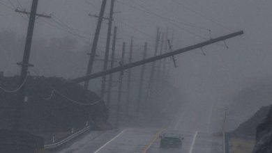 Bão Nhiệt Đới Lala Đổ Bộ Hawaii, Lũ Lụt Quét Sạch Nhà Cửa Trên Đảo Lớn