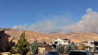 Hỏa hoạn Hawk bùng phát nhanh gần Reno, Nevada buộc hàng nghìn người phải sơ tán Hỏa hoạn Hawk bùng phát nhanh gần Reno, Nevada buộc hàng nghìn người phải sơ tán