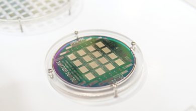 Việt Nam Cần Phát Triển Phòng Thí Nghiệm Chip Dùng Chung Để Đẩy Mạnh Công Nghệ