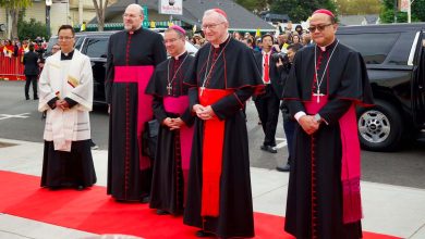 Đức Hồng Y Pietro Parolin thăm Giáo phận San Jose và cử hành Thánh Lễ tại Nhà thờ Đức Mẹ Lavang