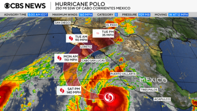Bão Polo: Cơn bão mạnh cấp 4 đang tiến gần Mexico – Theo dõi lộ trình bão ngay!