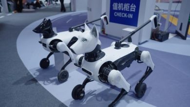 Công ty Trung Quốc giới thiệu robot chó dẫn đường tiên tiến nhất