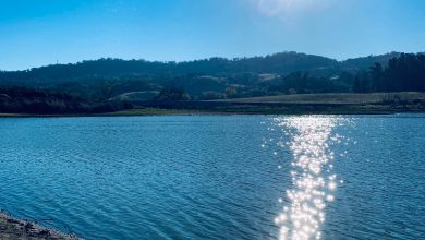 Thợ lặn tìm kiếm người mất tích Larry Nguyen tại hồ Grant Lake, San Jose