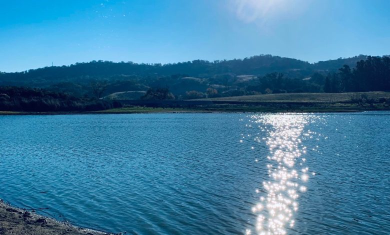 Thợ lặn tìm kiếm người mất tích Larry Nguyen tại hồ Grant Lake, San Jose Thợ lặn tìm kiếm người mất tích Larry Nguyen tại hồ Grant Lake, San Jose