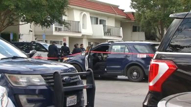 Cái Chết Thương Tâm Của Trẻ Em Tại San Jose Đang Được Điều Tra