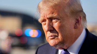 Cập nhật giữa kỳ: Trump kêu gọi người dân Florida, Peltola bác bỏ cáo buộc “lừa dối cử tri”
