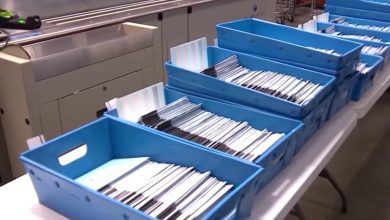 Cử tri Vùng Vịnh ráo riết vận động trước ngày bầu cử với nhiều cam go