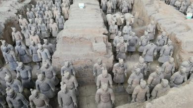 Dấu Vân Tay 2.200 Năm: Bí Ẩn Người Xây Dựng Đội Quân Đất Tử Tần Thủy Hoàng
