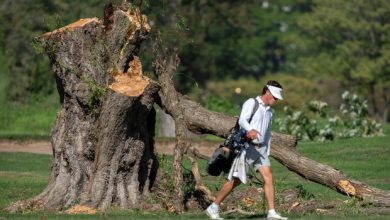 Thẩm phán tiếp tục ngăn Trump chặt cây tại sân golf D.C. – Cuộc chiến pháp lý chưa có hồi kết!